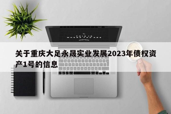 关于重庆大足永晟实业发展2023年债权资产1号的信息