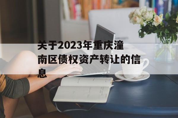 关于2023年重庆潼南区债权资产转让的信息