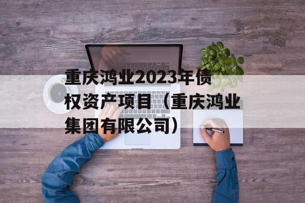 重庆鸿业2023年债权资产项目（重庆鸿业集团有限公司）