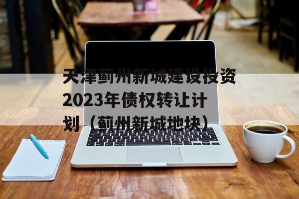 天津蓟州新城建设投资2023年债权转让计划（蓟州新城地块）