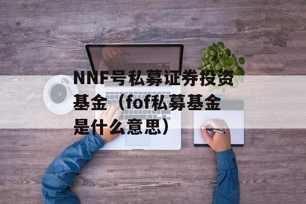 NNF号私募证券投资基金（fof私募基金是什么意思）