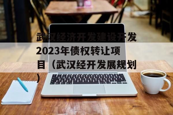 武汉经济开发建设开发2023年债权转让项目（武汉经开发展规划）