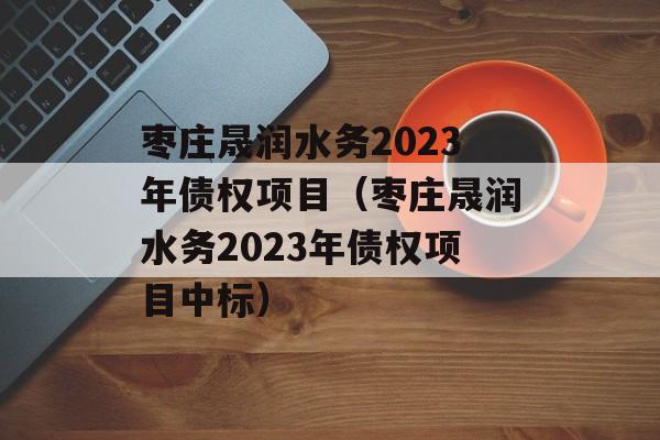 枣庄晟润水务2023年债权项目（枣庄晟润水务2023年债权项目中标）
