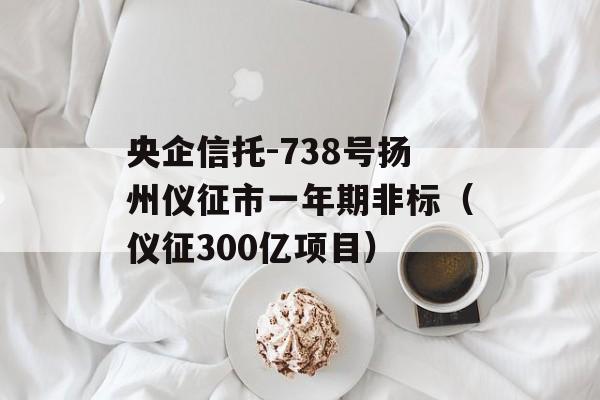央企信托-738号扬州仪征市一年期非标（仪征300亿项目）