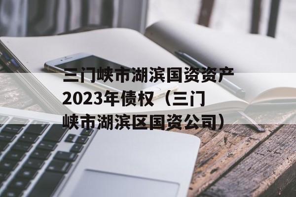 三门峡市湖滨国资资产2023年债权（三门峡市湖滨区国资公司）