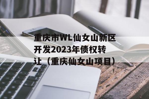 重庆市WL仙女山新区开发2023年债权转让（重庆仙女山项目）