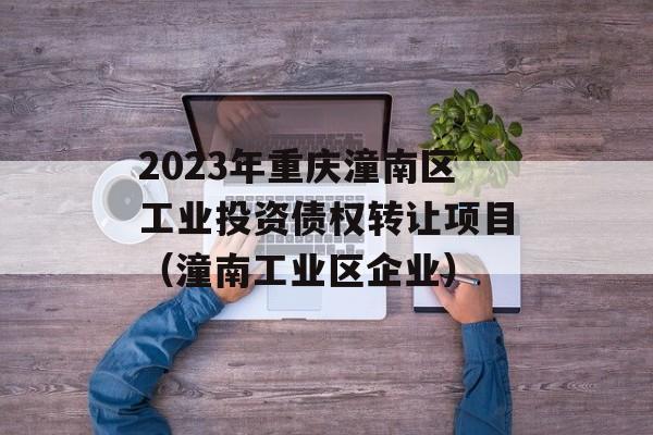 2023年重庆潼南区工业投资债权转让项目（潼南工业区企业）
