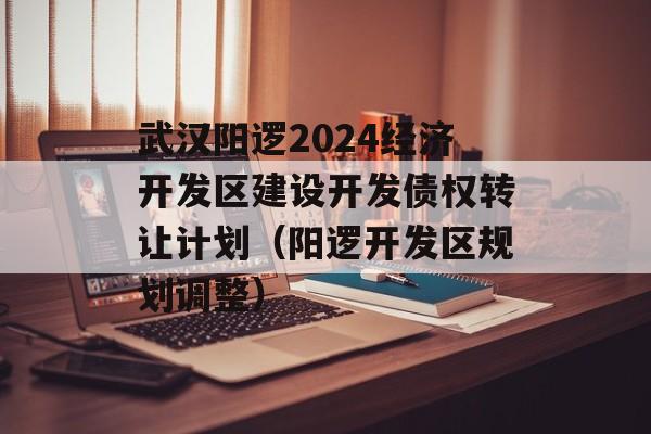 武汉阳逻2024经济开发区建设开发债权转让计划（阳逻开发区规划调整）