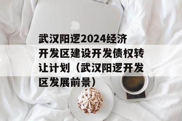 武汉阳逻2024经济开发区建设开发债权转让计划（武汉阳逻开发区发展前景）
