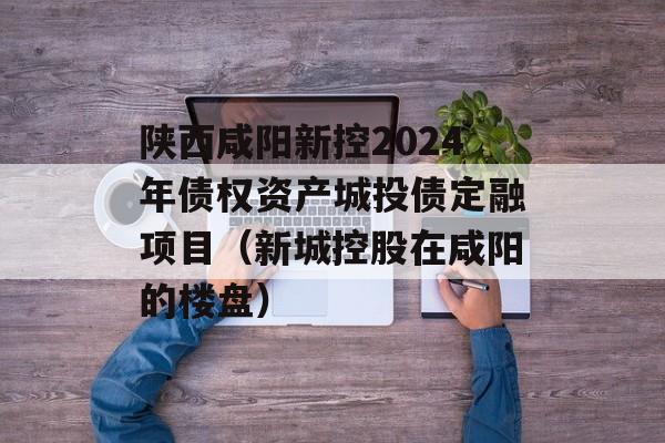 陕西咸阳新控2024年债权资产城投债定融项目（新城控股在咸阳的楼盘）