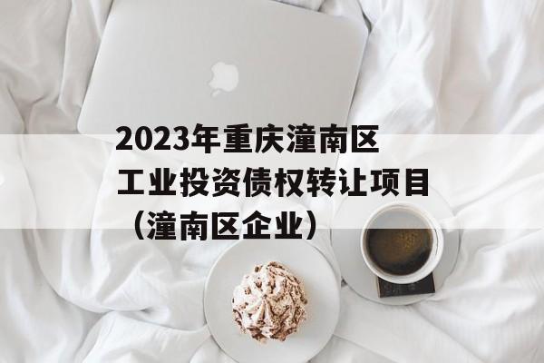 2023年重庆潼南区工业投资债权转让项目（潼南区企业）