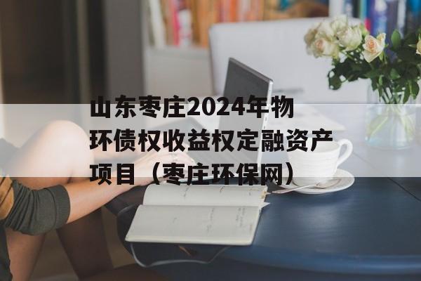 山东枣庄2024年物环债权收益权定融资产项目（枣庄环保网）
