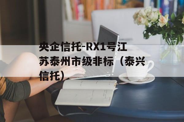 央企信托-RX1号江苏泰州市级非标（泰兴信托）