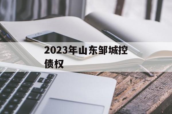 2023年山东邹城控债权