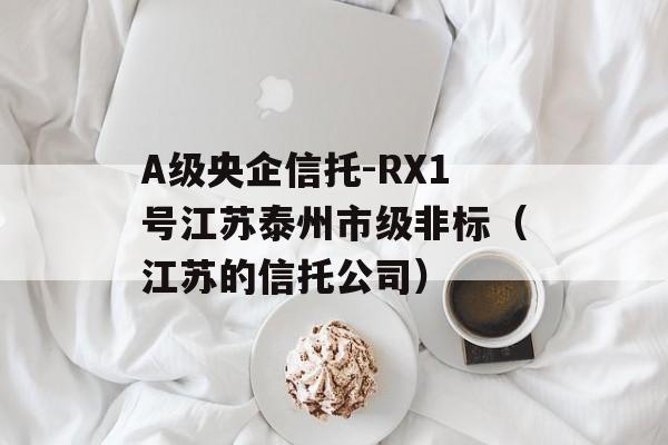 A级央企信托-RX1号江苏泰州市级非标（江苏的信托公司）
