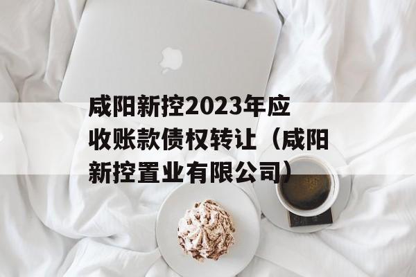 咸阳新控2023年应收账款债权转让（咸阳新控置业有限公司）