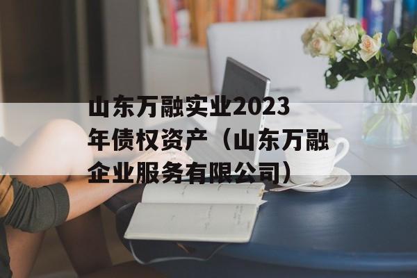 山东万融实业2023年债权资产（山东万融企业服务有限公司）